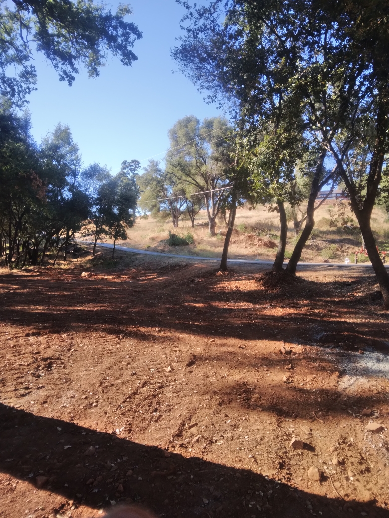 Grading the Grove among the oaks